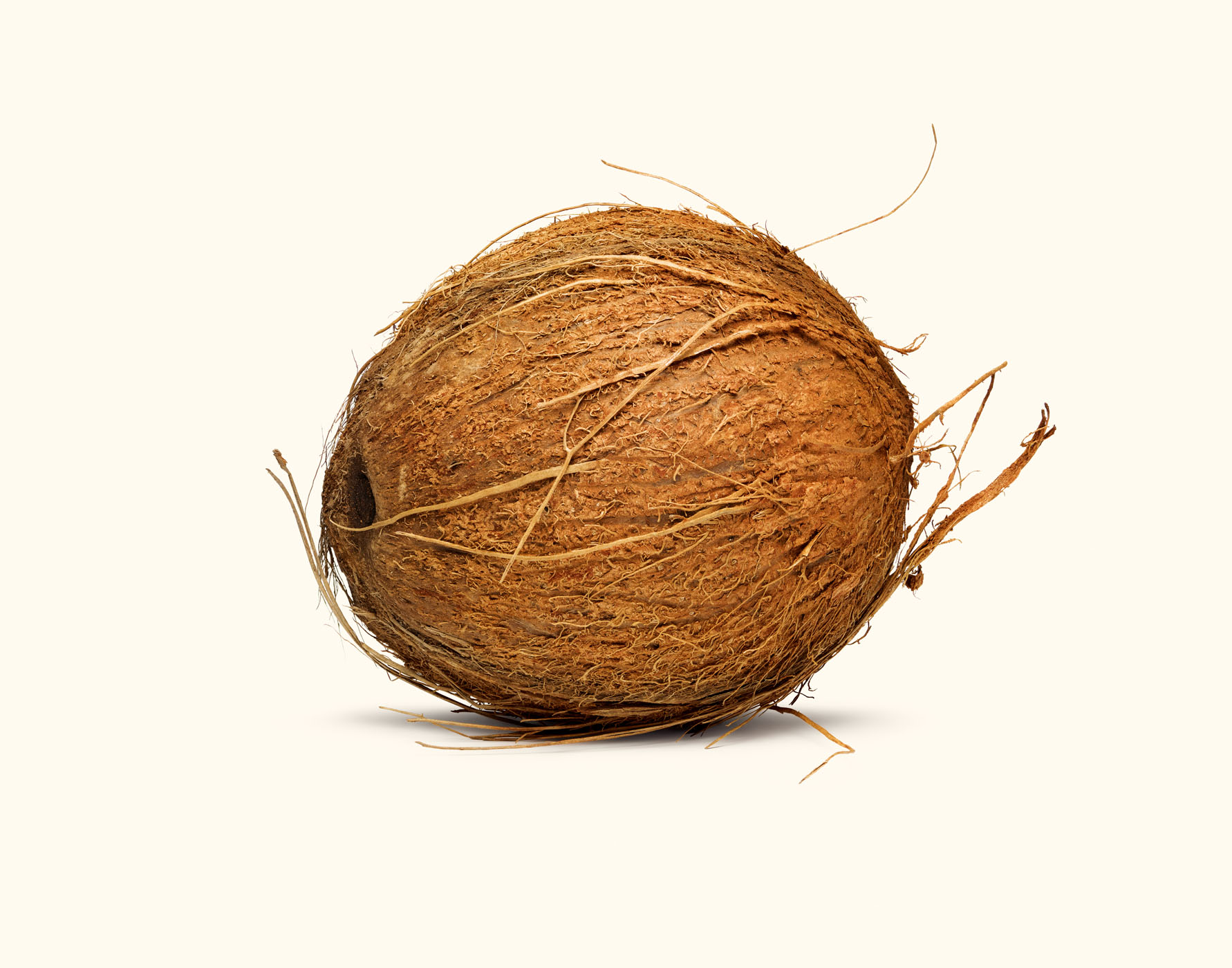 Coconut on studio background by Alexander Kent London based still life and product photographer.