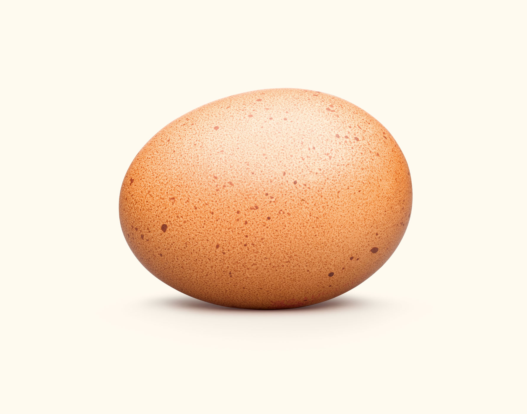 Egg on studio background by Alexander Kent