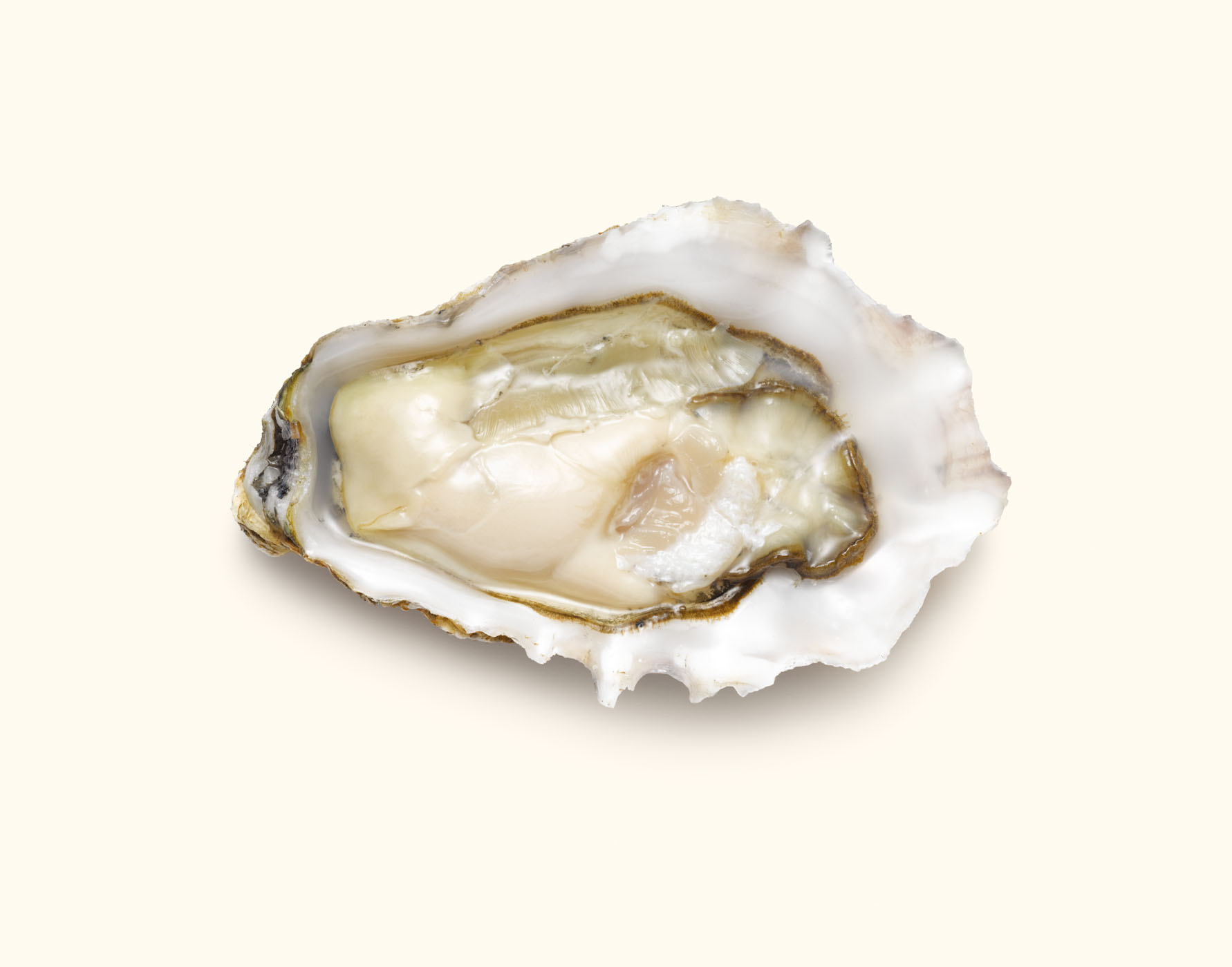 Oysters photograph  by Alexander Kent London based still life and product photographer.