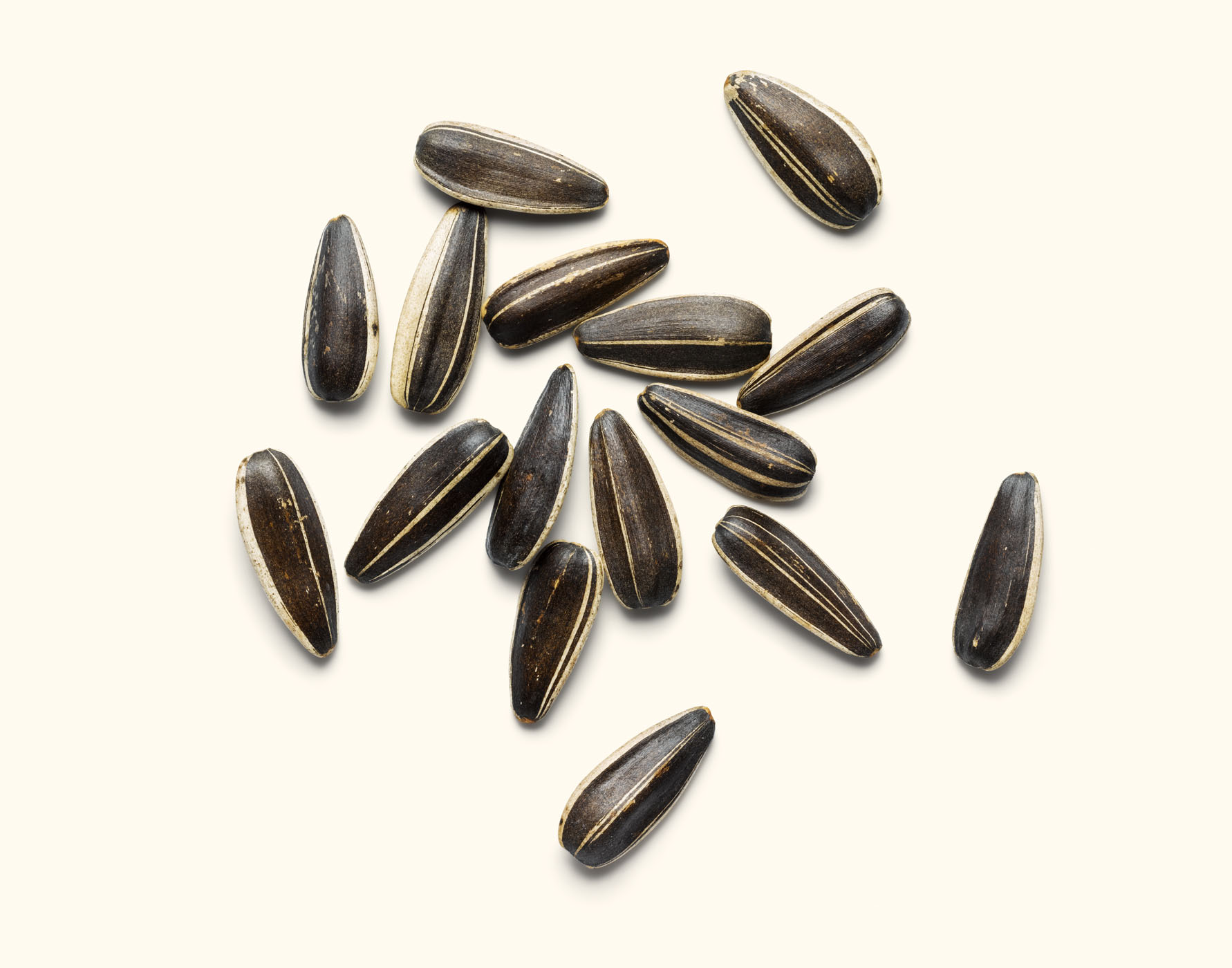 Seeds by London based still life and product photographer Alexander Kent
