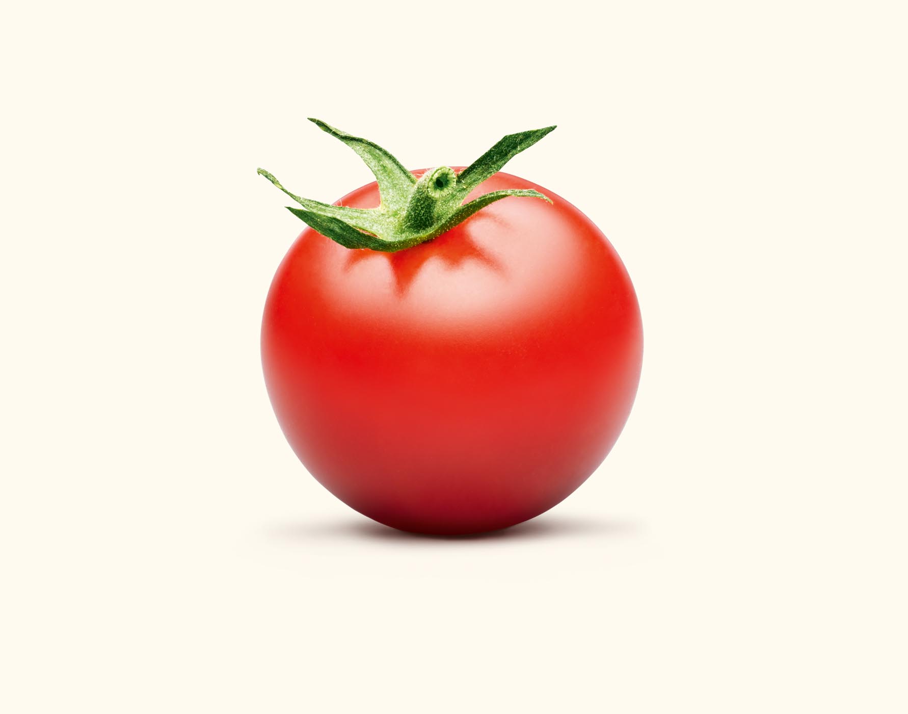 small tomato in studio
