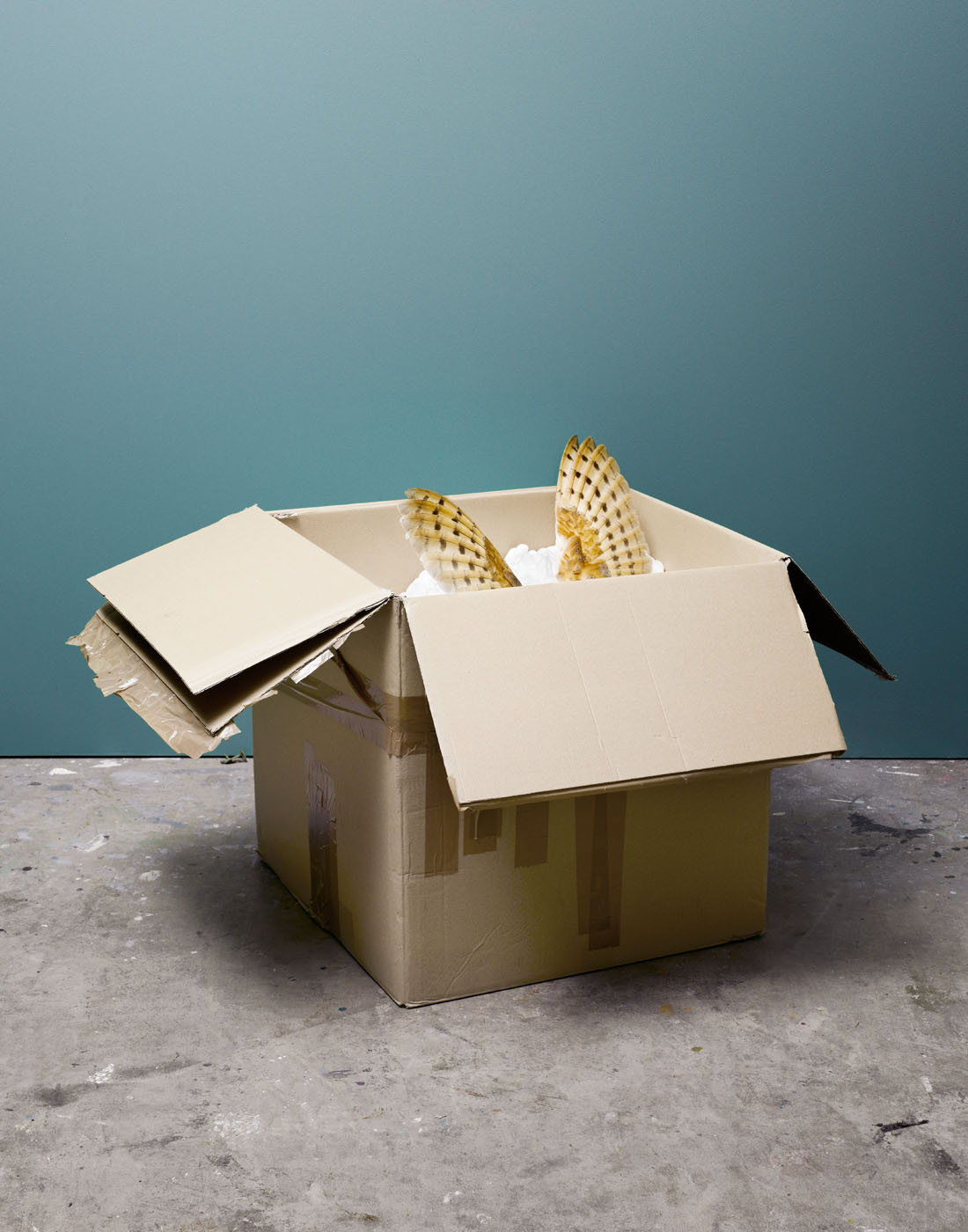 Owl in a large box by Alexander Kent London based still life and product photographer.
